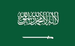 saudi flag icon